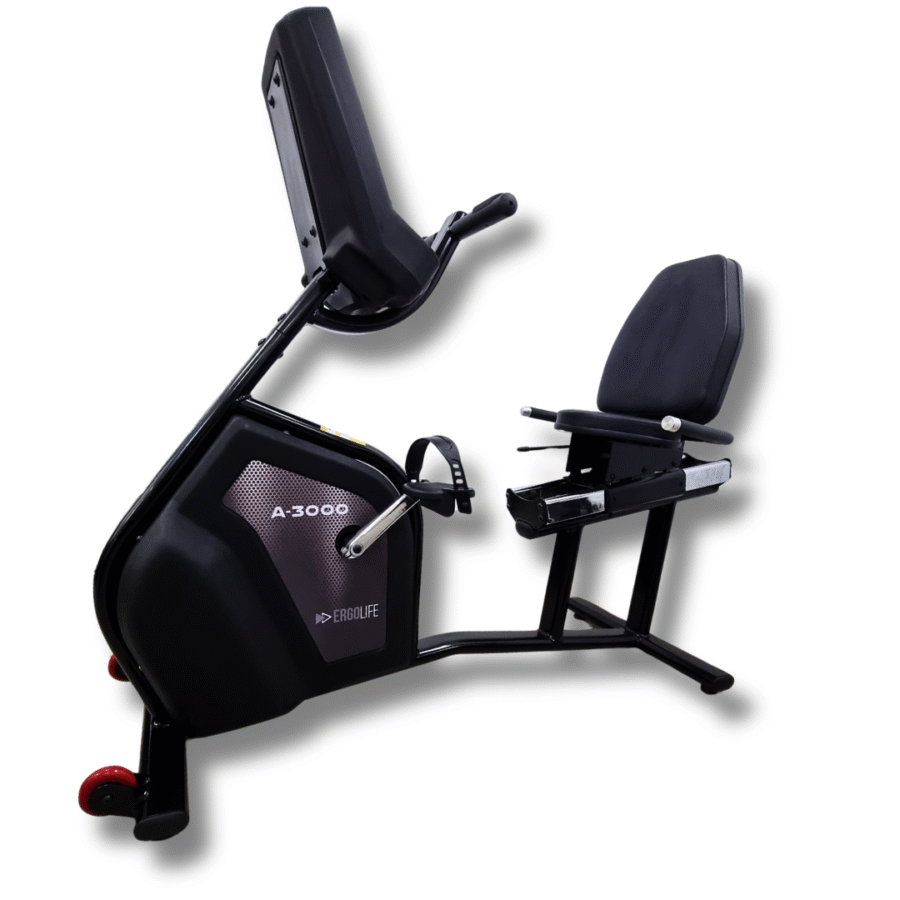 BICICLETA HORIZONTAL PROFISSIONAL A-3000